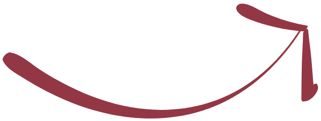 Meer kennis over wijn, vinonista