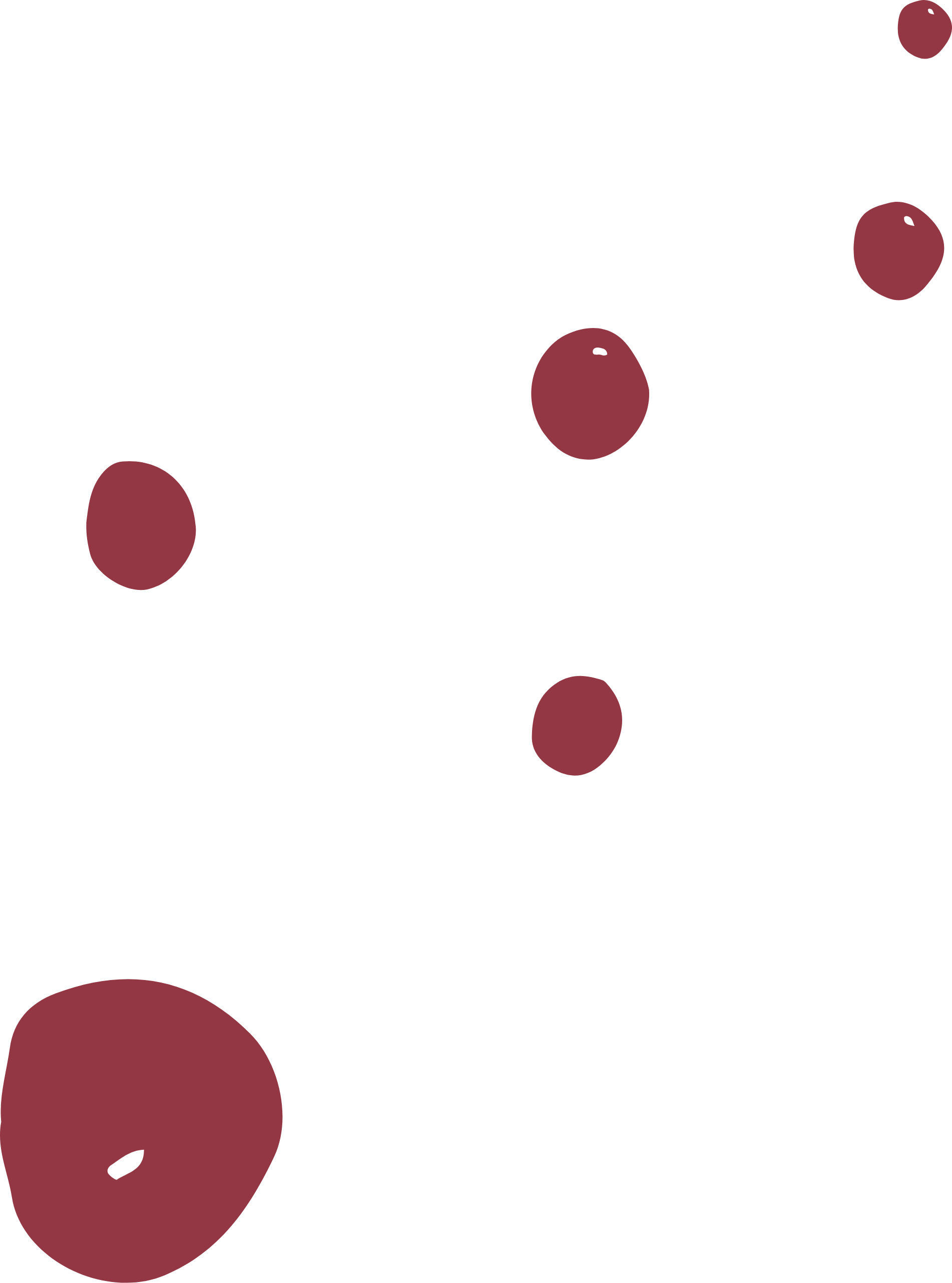 Wijn spetters uit kleren wassen, vinonista